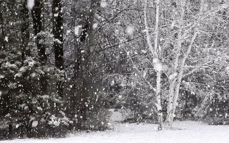 Imagens do Inverno com Gifs (31).gif