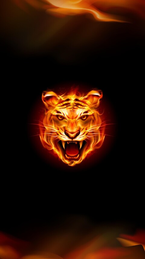 Огненный тигр.jpg