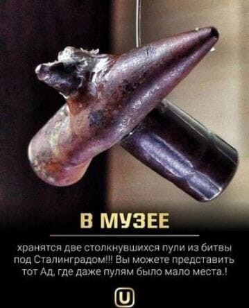 В музее две пули под Сталинградом.jpg