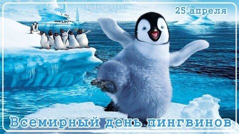 25 Апреля - Всемирный День Пингвинов.jpg