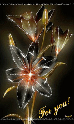 Flowers beautiful abstract.gif