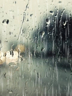 дождь за окном.gif