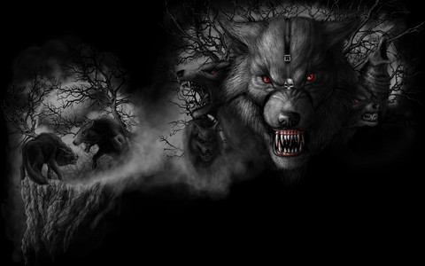 Dark Wolf.jpg
