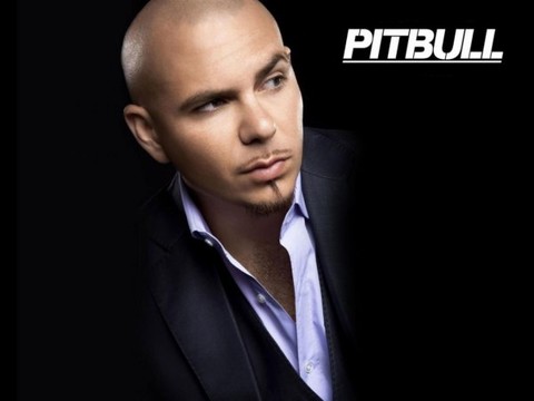 Pitbull - Incarcerated.mp3