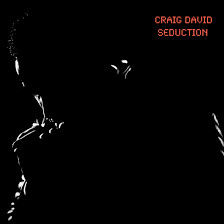 Craig David - Seduction.mp3