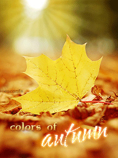 colors of autumn (цвета осени).gif