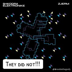 Shkodra Elektronike - Zjerm