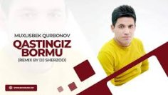 Muxlisbek Qurbonov - Qastingiz bormu (remix by DJ Sherzod)