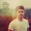 Niall Horan - Slow Hands.mp3