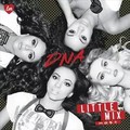 Little Mix-DNA.mp3
