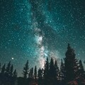 Звёздное небо в лесу.jpg
