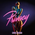 Chris Brown  Privacy.mp3