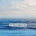 Codeko - Ocean.mp3