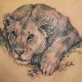 Tattoo-Cat-Panther.jpg