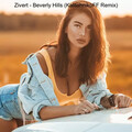 Zivert - Beverly Hills KalashnikoFF Remix.mp4
