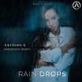 Alexandra Badoi - Rain Drops (Antduan Mix).mp3